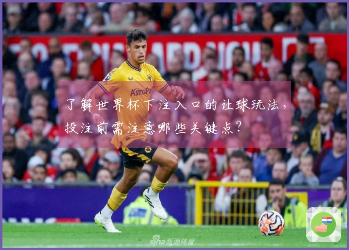 了解世界杯下注入口的让球玩法，投注前需注意哪些关键点？