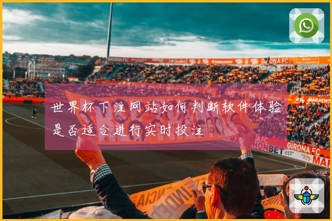世界杯下注网站如何判断软件体验是否适合进行实时投注
