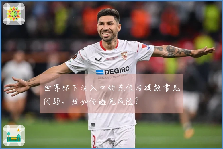 世界杯下注入口的充值与提款常见问题，该如何避免风险？