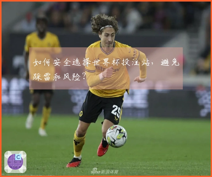 如何安全选择世界杯投注站，避免踩雷和风险？