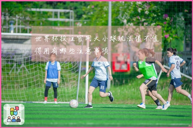 世界杯投注官网大小球玩法值不值得用有哪些注意事项