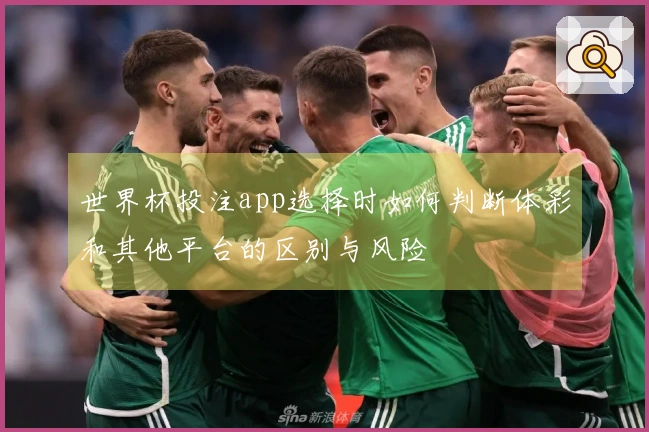 世界杯投注app选择时如何判断体彩和其他平台的区别与风险