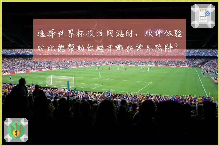 选择世界杯投注网站时，软件体验对比能帮助你避开哪些常见陷阱？