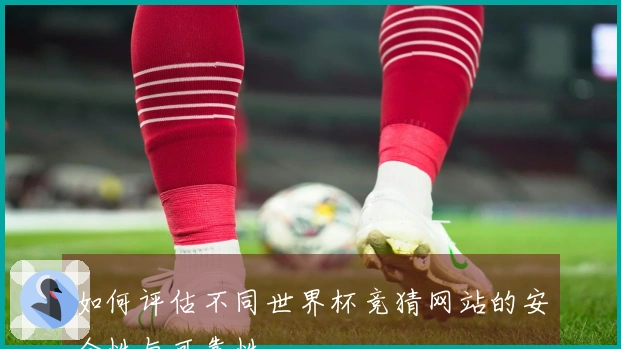 如何评估不同世界杯竞猜网站的安全性与可靠性