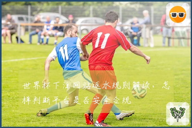 世界杯下注网站返水规则解读，怎样判断平台是否安全合规