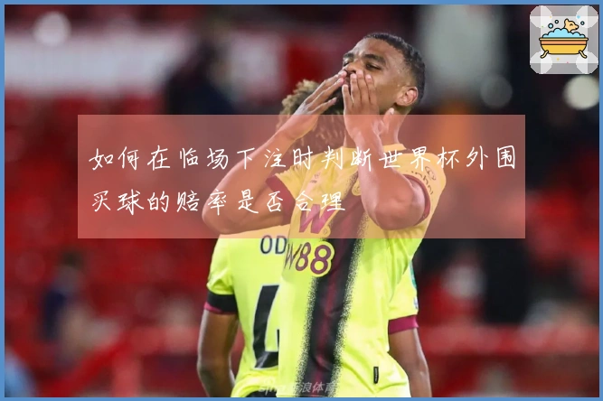 如何在临场下注时判断世界杯外围买球的赔率是否合理