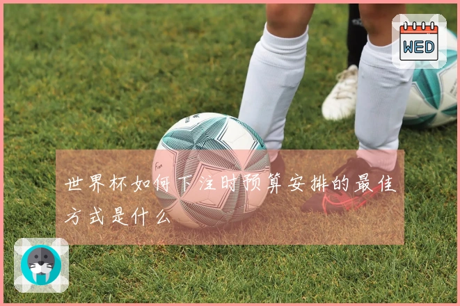 世界杯如何下注时预算安排的最佳方式是什么