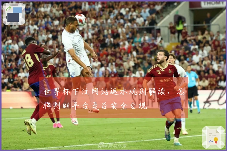 世界杯下注网站返水规则解读，怎样判断平台是否安全合规