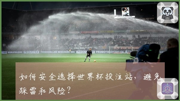 如何安全选择世界杯投注站，避免踩雷和风险？