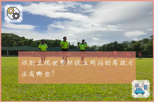 识别正规世界杯投注网站的有效方法有哪些？
