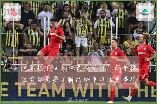 世界杯下注入口是否可信？新手投注前你需要了解的细节与注意事项