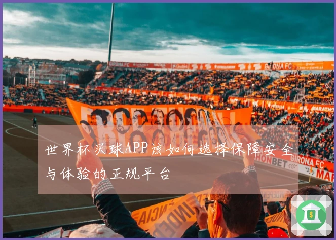世界杯买球APP该如何选择保障安全与体验的正规平台