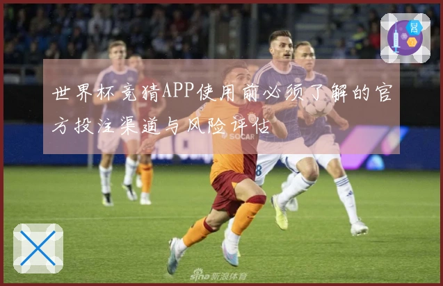 世界杯竞猜APP使用前必须了解的官方投注渠道与风险评估