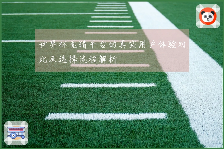 世界杯竞猜平台的真实用户体验对比及选择流程解析