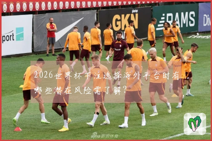 2026世界杯下注选择海外平台时有哪些潜在风险需了解？
