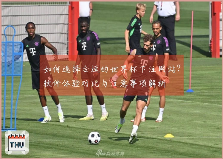 如何选择合适的世界杯下注网站？软件体验对比与注意事项解析