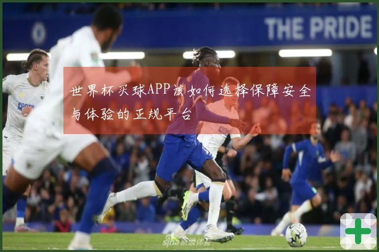 世界杯买球APP该如何选择保障安全与体验的正规平台