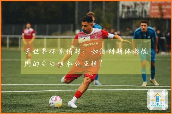 买世界杯竞猜时，如何判断体彩规则的合法性和公正性？