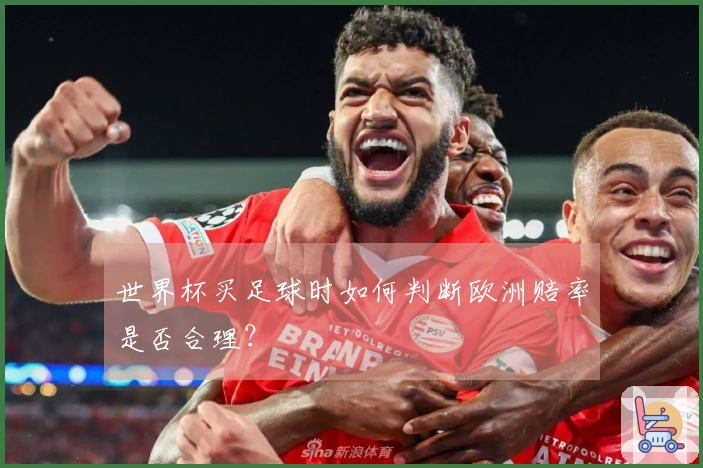 世界杯买足球时如何判断欧洲赔率是否合理？