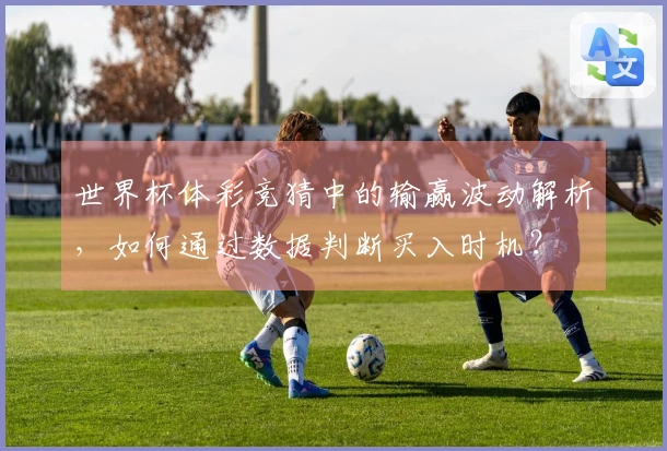 世界杯体彩竞猜中的输赢波动解析，如何通过数据判断买入时机？