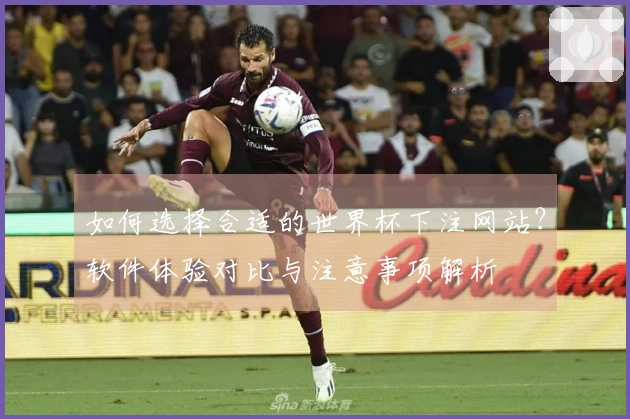 如何选择合适的世界杯下注网站？软件体验对比与注意事项解析