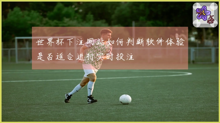 世界杯下注网站如何判断软件体验是否适合进行实时投注