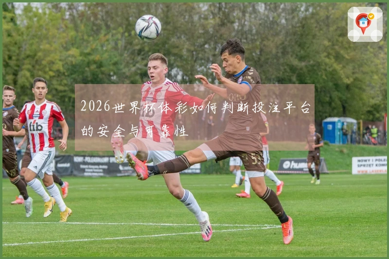 2026世界杯体彩如何判断投注平台的安全与可靠性
