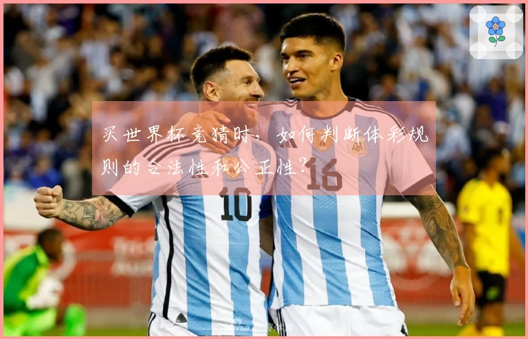 买世界杯竞猜时，如何判断体彩规则的合法性和公正性？