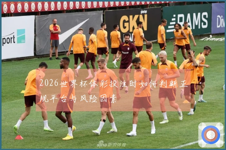 2026世界杯体彩投注时如何判断正规平台与风险因素
