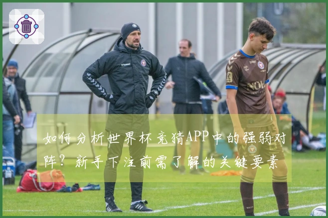 如何分析世界杯竞猜APP中的强弱对阵？新手下注前需了解的关键要素