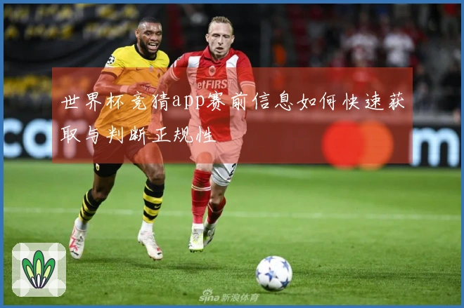 世界杯竞猜app赛前信息如何快速获取与判断正规性