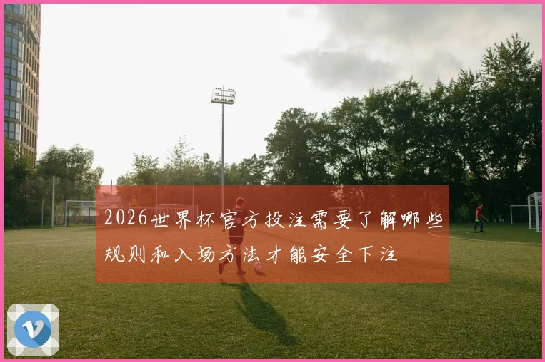 2026世界杯官方投注需要了解哪些规则和入场方法才能安全下注
