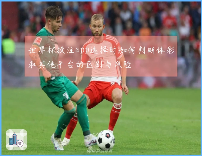 世界杯投注app选择时如何判断体彩和其他平台的区别与风险