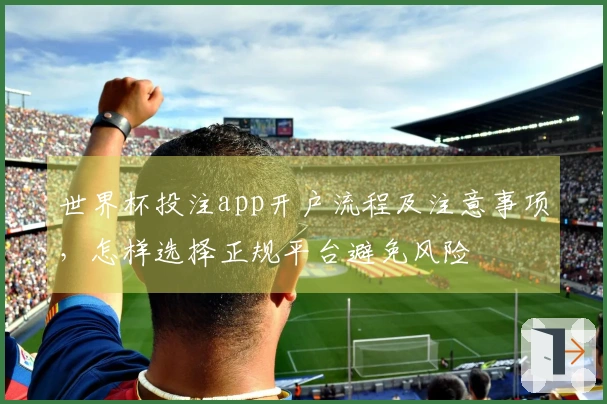 世界杯投注app开户流程及注意事项，怎样选择正规平台避免风险