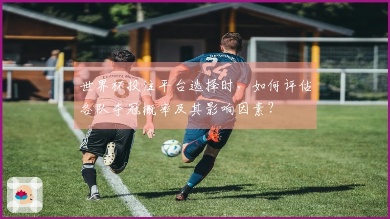 世界杯投注平台选择时，如何评估各队夺冠概率及其影响因素？