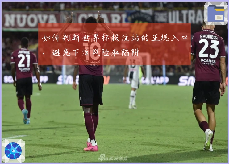 如何判断世界杯投注站的正规入口，避免下注风险和陷阱