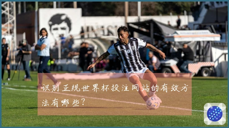 识别正规世界杯投注网站的有效方法有哪些？