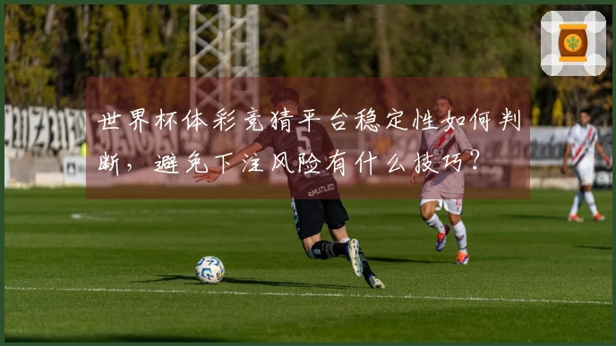 世界杯体彩竞猜平台稳定性如何判断，避免下注风险有什么技巧？
